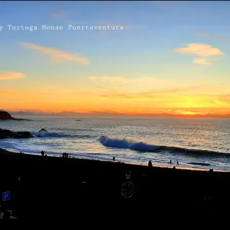 Tortuga House Apartmán