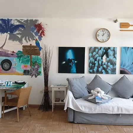Tortuga House Apartmán *