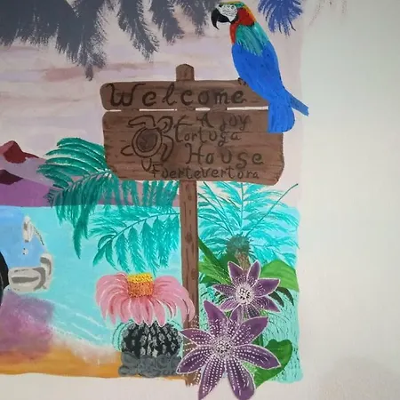 Tortuga House 公寓
