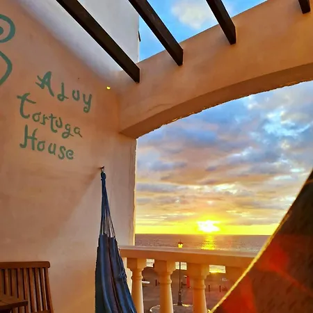 Tortuga House